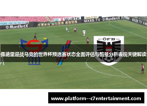 佩德里迎战马竞的世界杯预选赛状态全面评估与前景分析表现关键解读
