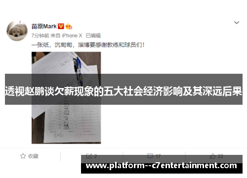 透视赵鹏谈欠薪现象的五大社会经济影响及其深远后果