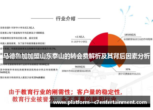 马德鲁加加盟山东泰山的转会费解析及其背后因素分析